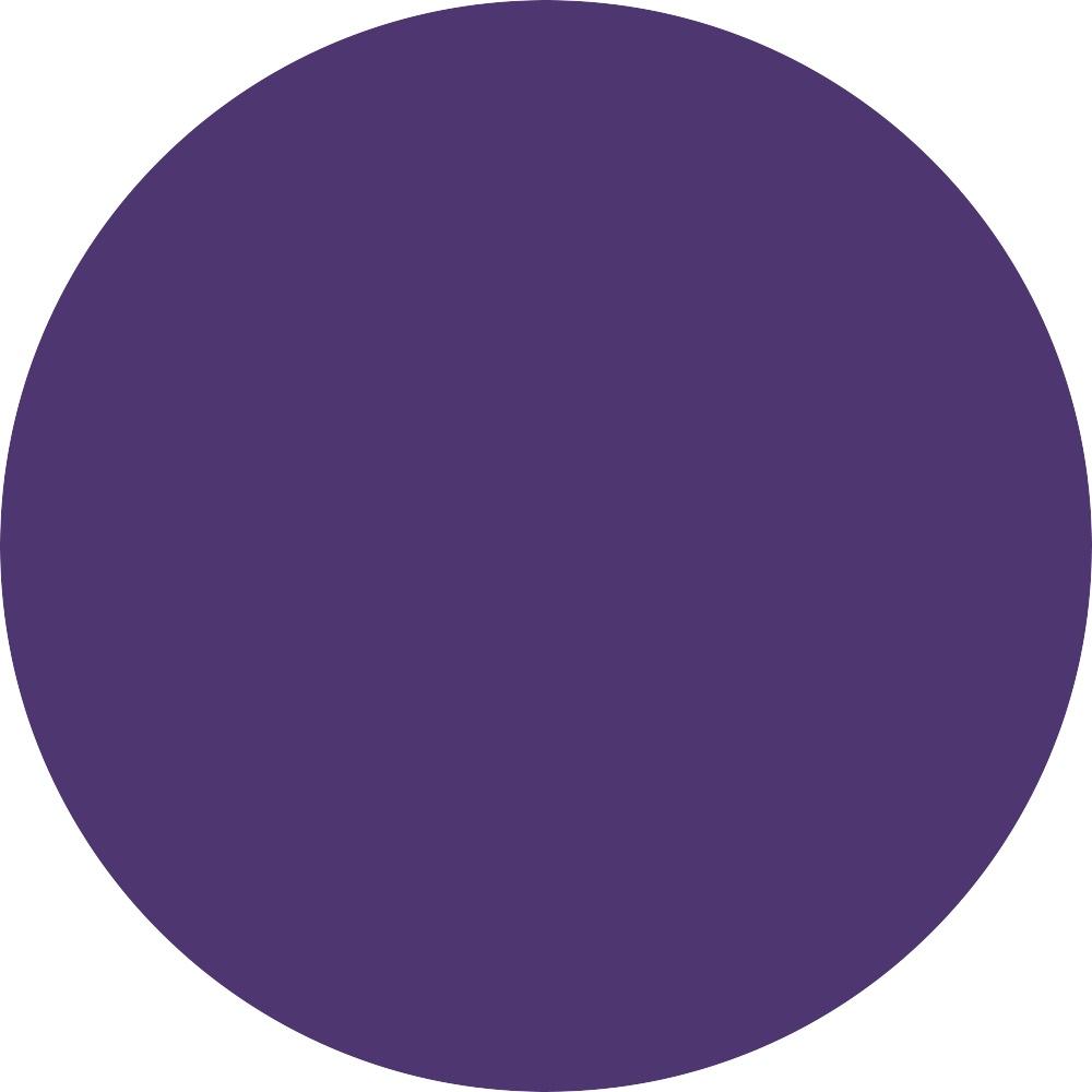 Matte Purple 0.01 oz