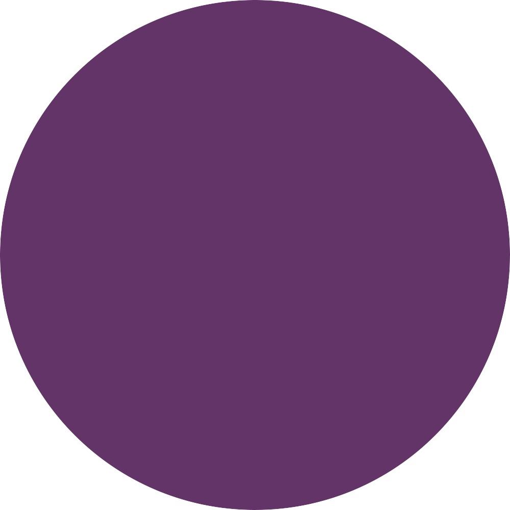 Plum Purple 0.3 oz