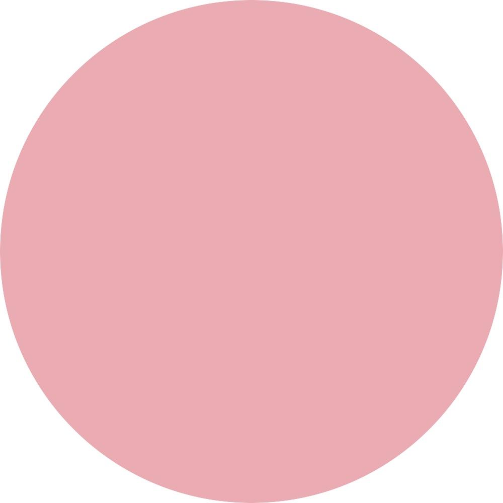 Princess Pink 317 0.14 oz