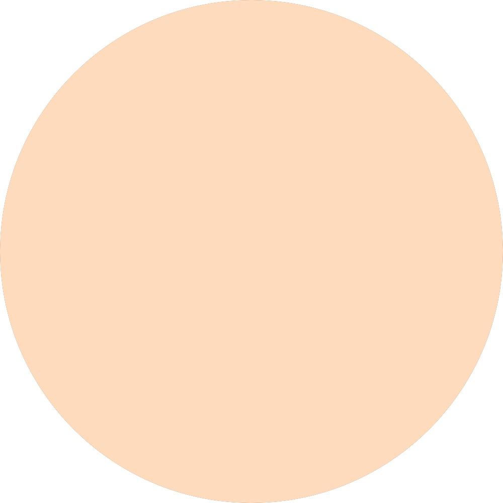Shade 21