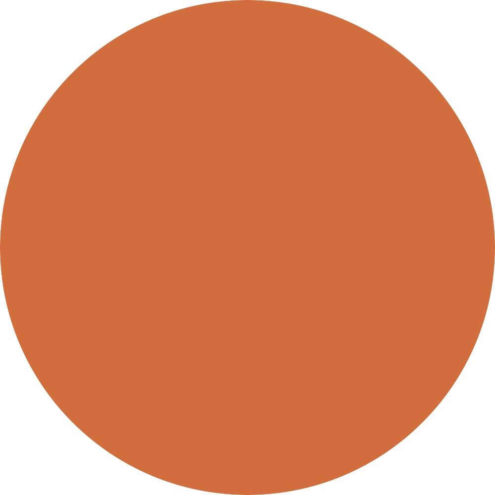 202 BEIGE CAMEL 0.04 oz