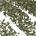 0.04 oz/ 1.2 g Mildew - deep forest green