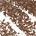 0.04 oz/ 1.2 g Smog - copper shimmer