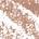 0.001 / 0.04g Shade 1 - cool light blonde