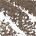 0.007 Net Wt oz / 0.2 g 5 Medium Brown - brown