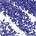 0.01 oz / 0.3 g 19- Shimmer Navy