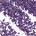 0.01 oz / 0.3 g 21- Shimmer Plum