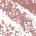 .053 oz / 1.5 g Rosewood - deep rose