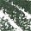 .33 oz 16 Army Green Matte - 17 Olive Shimmer