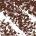 0.017 oz / 0.48 g Tigereye Brown 45 - rich bronze