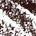 0.001 Oz. / fillsizesequence:1 Dark Brown - for dark brown hair with a warm undertone