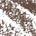 0.001 Oz. / fillsizesequence:1 Soft Brown - for light brown hair with warm/cool undertones