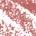 0.02 oz / 0.5 g Grip - medium cool rose