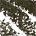 0.029 oz / 0.85 g Teak - deep brown