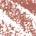 0.039 oz / 1.1 g 02 Plush Pink - deep rosey brown