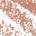 0.039 oz / 1.1 g 01 Delicate Nude - nude beige