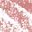 0.039 oz / 1.1 g 09 Luxurious Mauve - warm dusty mauve