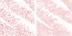 0.18 oz/ 5 g Matte Camille / Sand Shimmer - pink based flesh tone/ iridescent beige