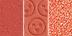 Freaky Peach - Bright Peach Coral Trio