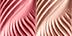 0.21 oz Rose Glow