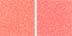 0.17 oz / 5 g Tropic - peach