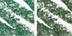 Chunky 0.02 oz, Precision 0.007 oz/Chunky 0.85 g, Precision 0.2 g Juniper Green - a royal, rich green that is the perfect match for green or hazel eyes