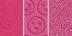 0.38 oz Gworly Pop - Bright Hot Pink Fuschia Berry Trio