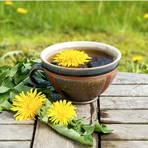 Frontier Co-op Cut & Sifted Dandelion Root 1lb - Dried for Loose Tea, Caffeine-Free Coffee Alternative, Making Powder Supplement Capsules - Dandelion Root