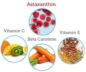 Algalife Icelandic Astaxanthin 12 mg 60 Mini Soft Gels - product information 2