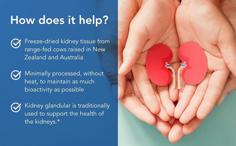 Allergy Research Group Kidney Beef Natural Glandular 100 Vegicaps - How Does it Help