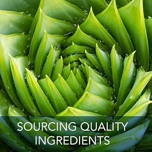 Allergy Research Group Molecular H2 Effervescent Hydrogen Tablets 60 Tablets - Sourcing Quality Ingredients