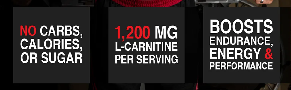 ALLMAX Nutrition Liquid L-Carnitine 1500 Fruit Punch 16 oz (473 ml) - liquid l-carnitine energy performance enhancer endurance sugar free