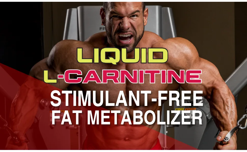 ALLMAX Nutrition Liquid L-Carnitine 1500 Fruit Punch 16 oz (473 ml) - liquid l carnitine fat metabolizer