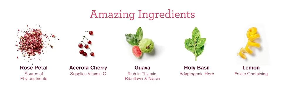 Amazing Grass Organic Amazing Protein Glow Unflavored 11.1 oz (315 g) - Amazing Ingredients
