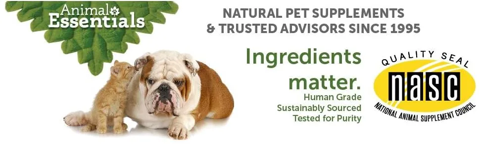Animal Essentials Plant Enzyme & Probiotics For Dogs + Cats 10.6 oz (300 g) - product information 1