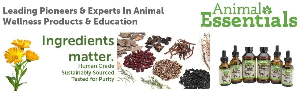 Animal Essentials Plant Enzyme & Probiotics For Dogs + Cats 10.6 oz (300 g) - product information 2