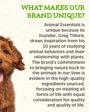 Animal Essentials Seaweed Calcium For Dogs + Cats 12 oz (340 g) - Unique