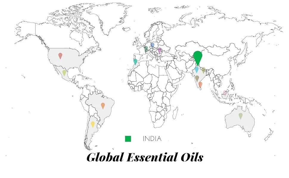 Artnaturals Peppermint Oil .50 fl oz (15 ml) - Global Essential Oils