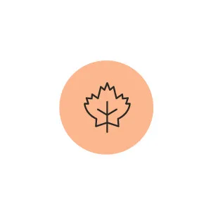 ATTITUDE Super Leaves Science Natural Conditioner Nourishing & Strengthening Grape Seed Oil & Olive Leaves 8 oz (240 ml) - Made in Canada