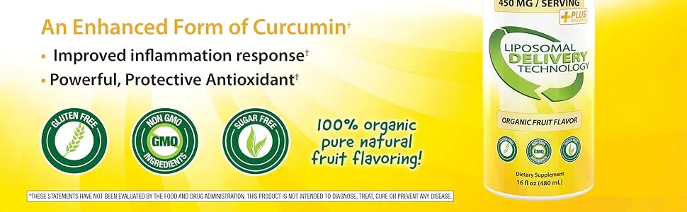 Aurora Nutrascience Mega-Liposomal Curcumin+ Organic Fruit Flavor 600 mg 16 fl oz (480 ml) - Liposomal