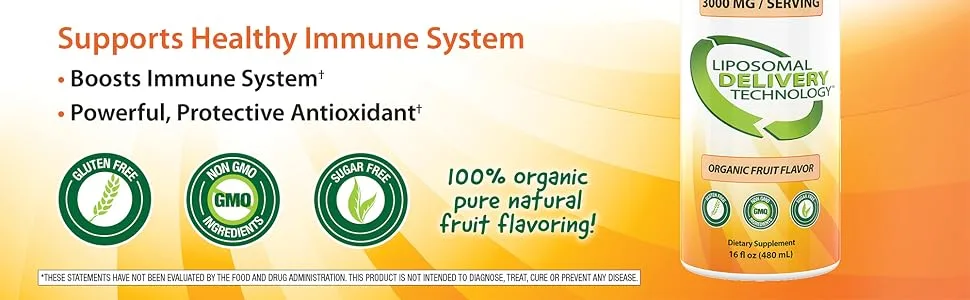 Aurora Nutrascience Mega-Liposomal Vitamin C Organic Fruit Flavor 3000 mg 16 fl oz (480 ml) - Liposomal