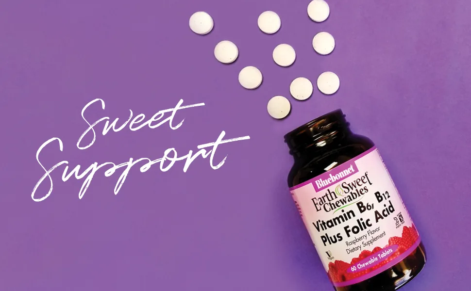 Bluebonnet Nutrition Earth Sweet Chewables Vitamin B6 B12 Plus Folic Acid Raspberry 60 Chewable Tablets - Sweet Support