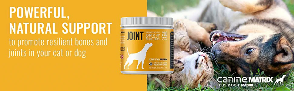 Canine Matrix Joint Organic Mushroom Powder 7.1 oz (200 g) - product information 1