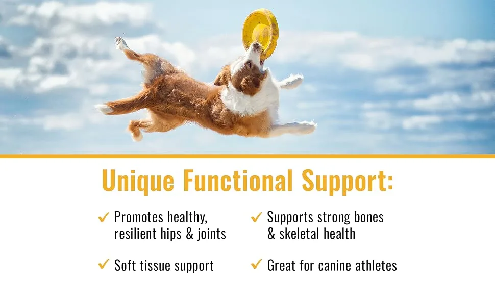 Canine Matrix Joint Organic Mushroom Powder 7.1 oz (200 g) - product information 2