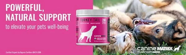 Om Mushroom Matrix Pet - Canine | Turkey Tail | USA Grown Human-Grade Organic Mushroom Powder Pet Supplement | Immunity Support & Holistic Defense for Dogs & Cats | 200 Grams, 7.1 oz - product information 1
