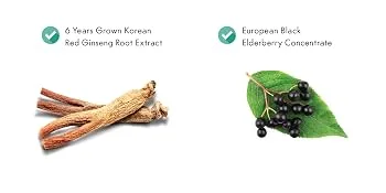 Cheong Kwan Jang Koreselect Immune 10 Sticks 0.34 fl oz (10 ml) Each - korean red panax ginseng black elderberry