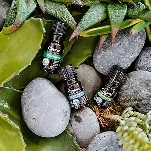Cliganic Essential Oils Aromatherapy Set 4 Piece Set - Cliganic Essential Oils
