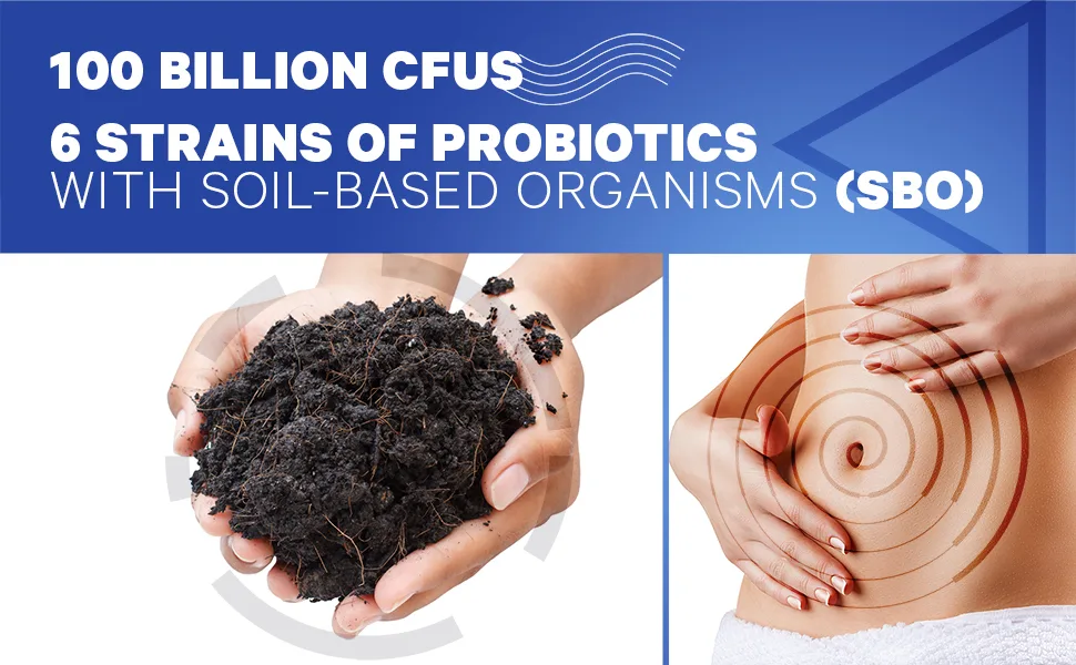 CodeAge Digestion SBO Probiotic+ 100 Billion CFU 90 Capsules - Codeage - Soil-Based Organisms and Prebiotics