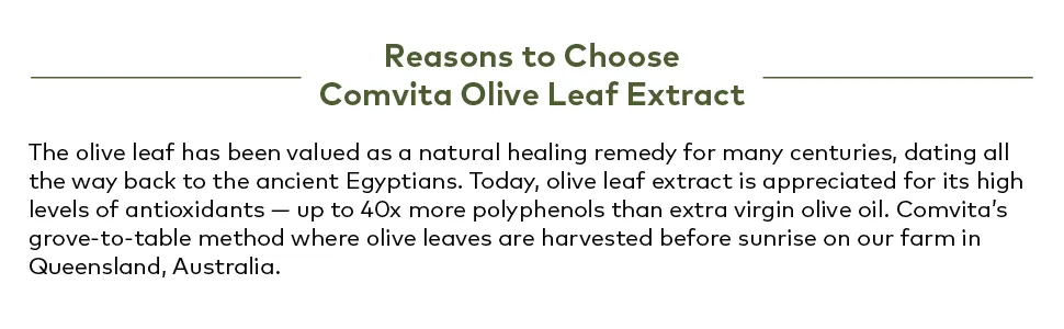 Comvita Immune Support Olive Leaf Extract 60 Softgel Capsules - reasons