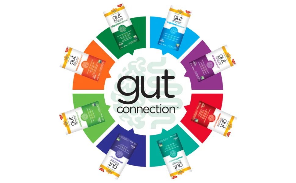 Country Life Gut Connection Cognitive Balance 60 Vegan Capsules - Gut connection